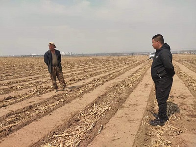 珲春市首次推广应用秸秆归行条耕宽窄行种植技术模式